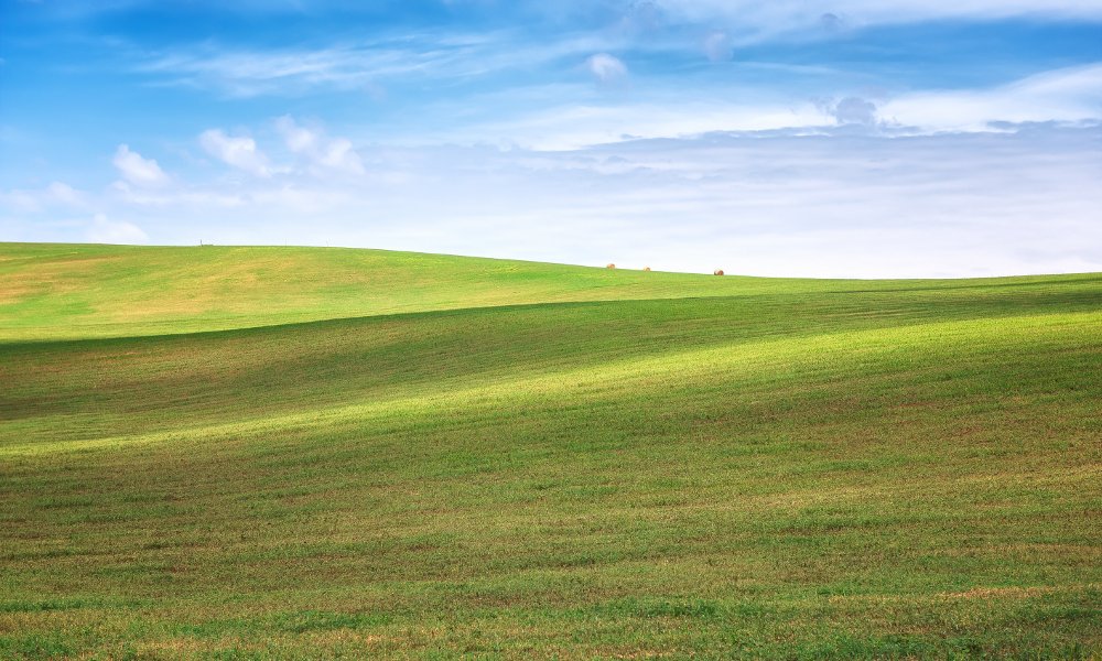raw-land-KXYMWVD Amazing landscape with green wheat field and rolling hills in South Moravia, Czech Republic